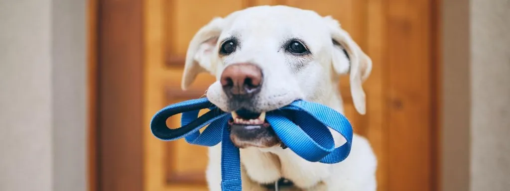 Seven Hills Veterinary Hospital