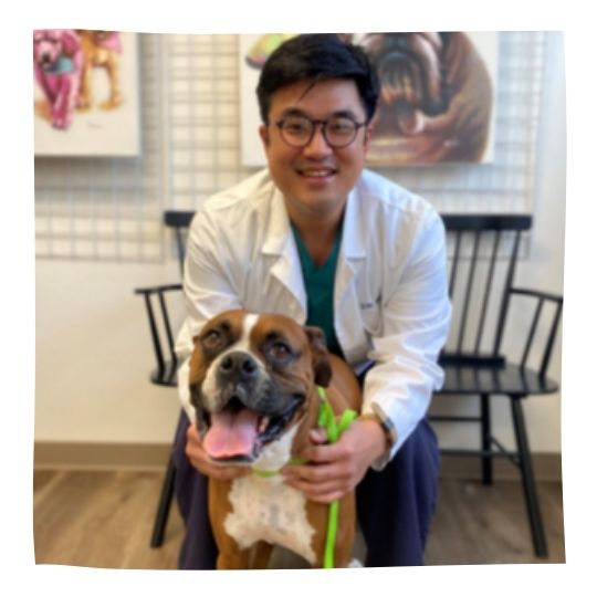 Dr Alvin Hong with pet dog