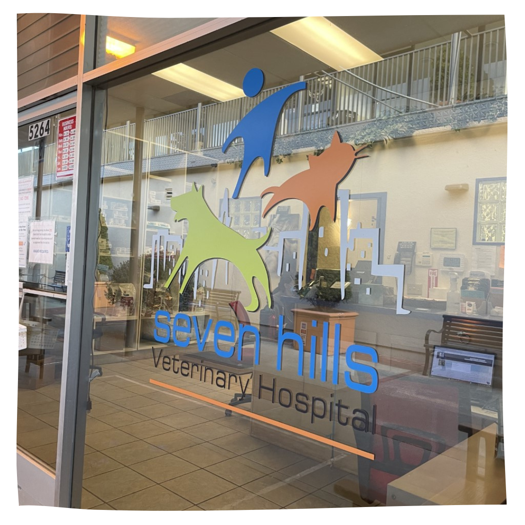 About Seven Hills Veterinary Hospital | Vet In San Francisco, CA 94131